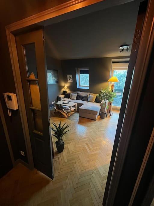 Appartement Cosy Le Chesnay Le Chesnay  Exterior photo